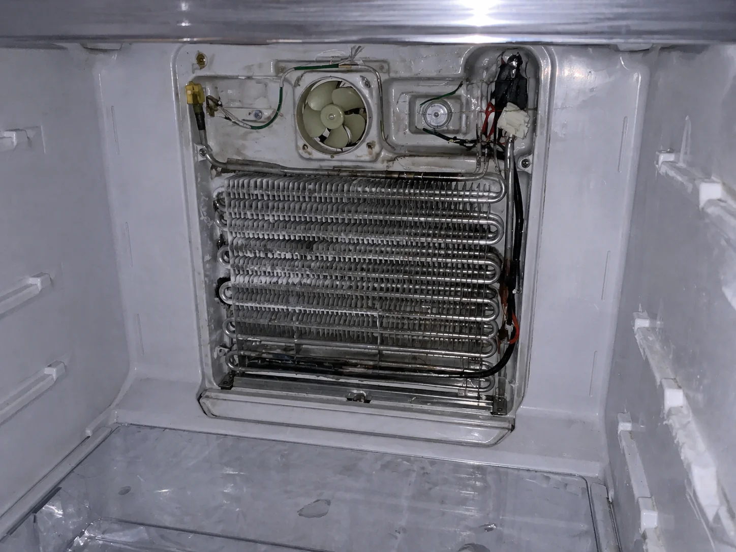 Fisher & Paykel fridge repair
